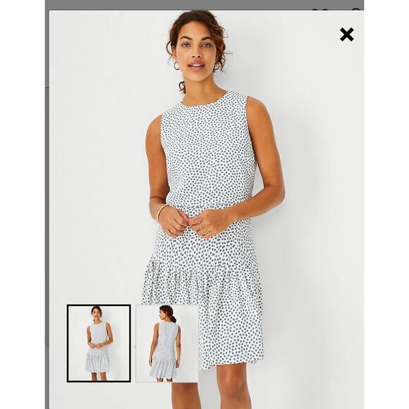 Ann Taylor Dress - Picture 1 of 6